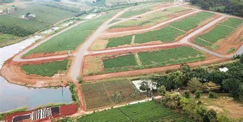 Cẩn trọng với các chiêu trò lừa đảo khi mua đất