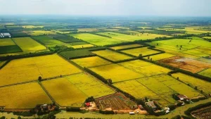 Lợi ích khi đầu tư vào đất nông nghiệp