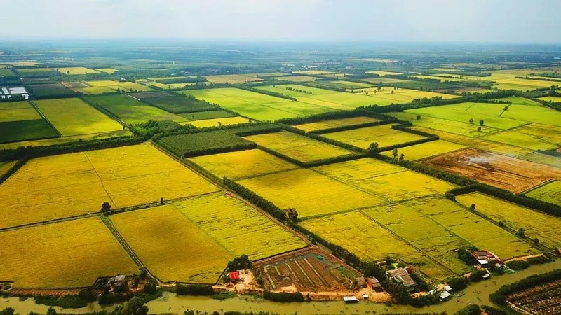 Lợi ích khi đầu tư vào đất nông nghiệp
