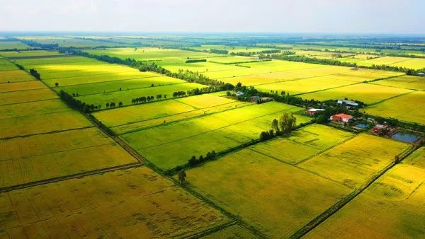 Ổn Định và An Toàn: “Hầm Trú Ẩn” Vững Chắc Cho Tài Sản