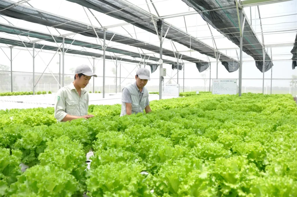 Quy Hoạch Sử Dụng Đất: “Bản Đồ” Định Hướng Tương Lai