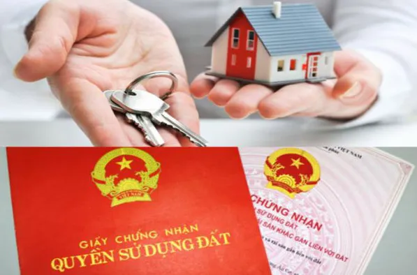 Quyết định vội vàng và chịu áp lực từ bên ngoài